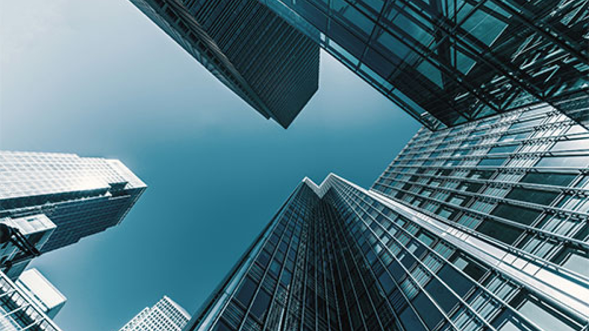 Transformación digital: Explorando el futuro de los negocios